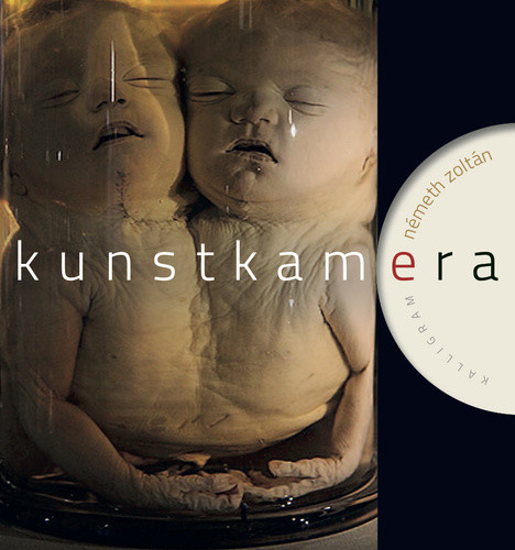 Kunstkamera