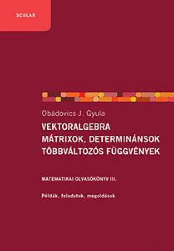 Vektoralgebra: mátrixok, determinánsok többváltozós függvények