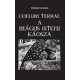 Coelum Terrae - A mágus isteni káosza