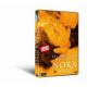 Nora & Joyce - DVD