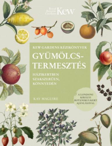 Gyümölcstermesztés