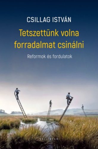 Tetszettünk volna forradalmat csinálni - Reformok és fordulatok