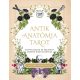 Antik anatómia tarot