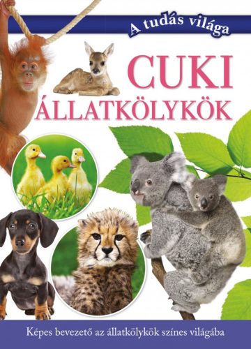 Cuki állatkölykök