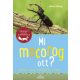 Mi mocorog ott?